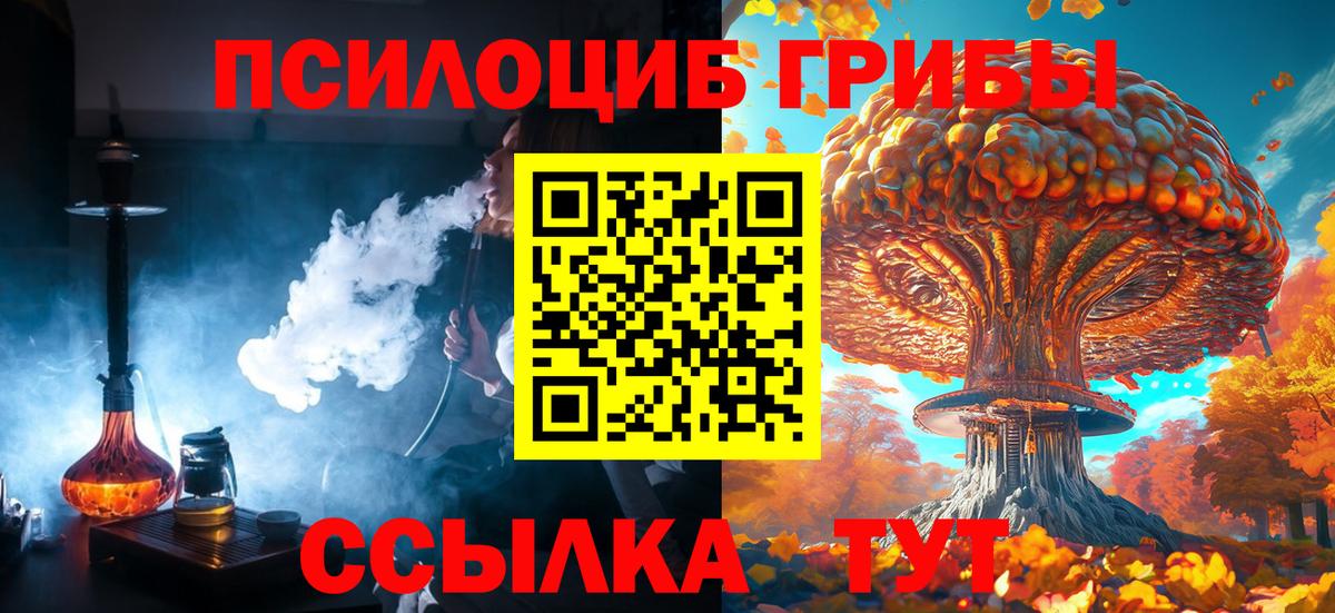 Псилоцибиновые грибы Psilocybe  Вход с VPN  Острогожск 