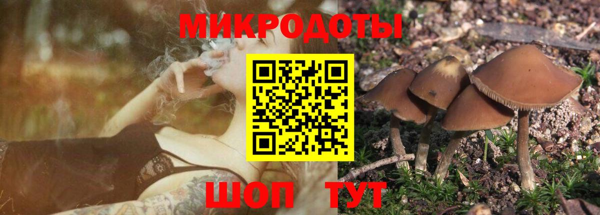 Галлюциногенные грибы Magic Shrooms Острогожск